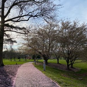 Meet your Posher, Li